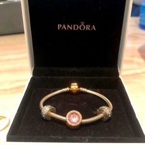 Authentic Pandora bracelet w/ purple charm